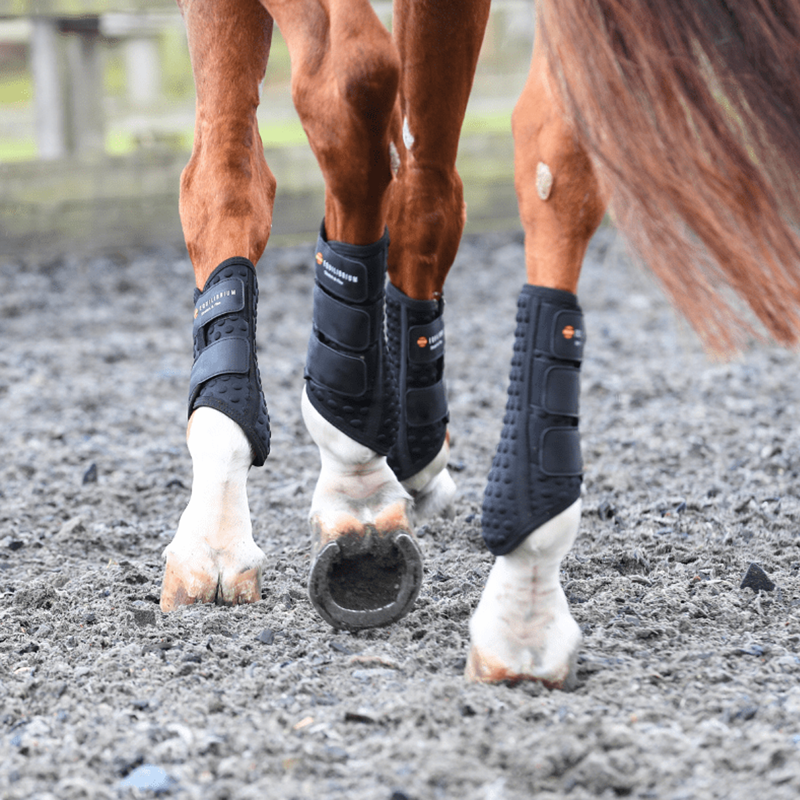 Equilibrium Stretch and Flex Flatwork Wraps - Black-1